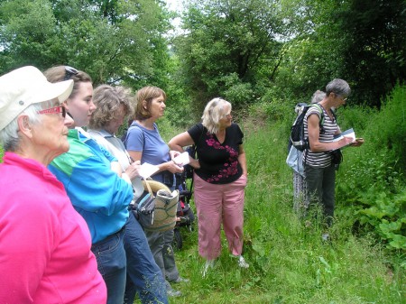 groupe sur le terrain